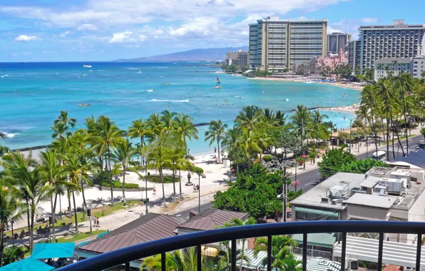 Sea, beach, beach, Hawaii, hawaii, Honolulu
