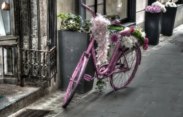 Bike, house, street