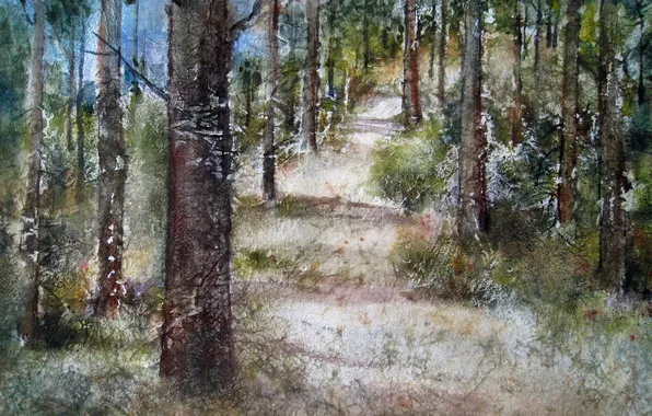 Forest, nature, picture