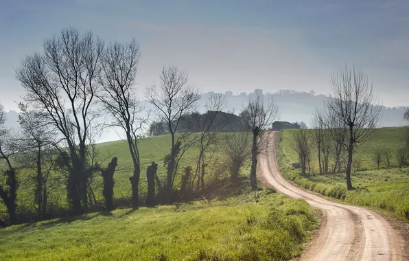 Road, field, landscape