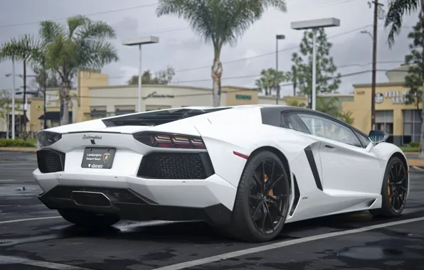 Picture Lamborghini, Cars, Beach, White, LP700-4, Aventador, Newport