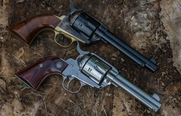 Weapons, two, the handle, revolvers