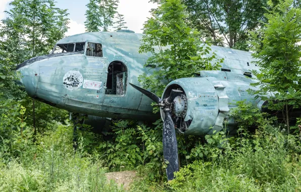 Picture Wallpaper, abandoned plane, abandoned airfield