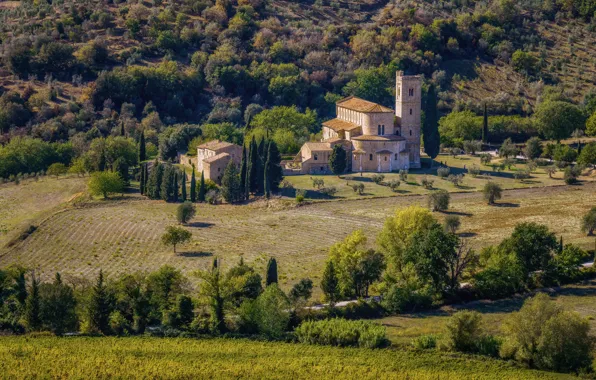 Field, grass, the sun, trees, hills, home, Italy, Tuscany