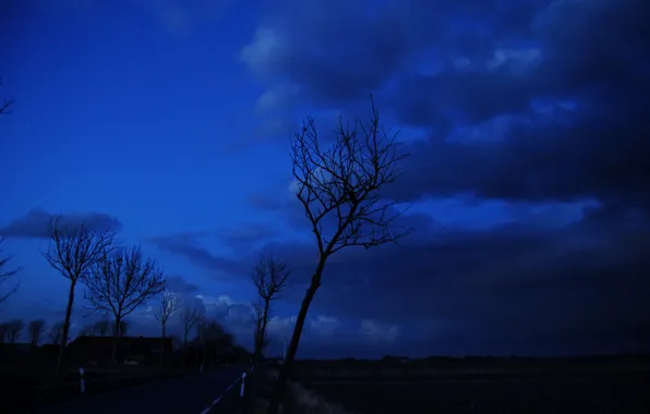 Road, clouds, trees, Night, silhouettes, road, sky, trees