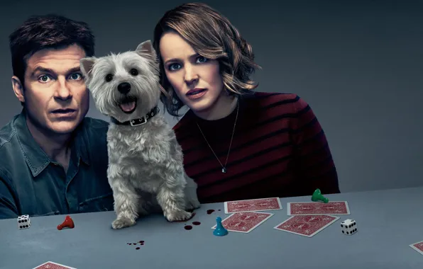 Picture card, table, background, cubes, dog, chips, Rachel McAdams, poster