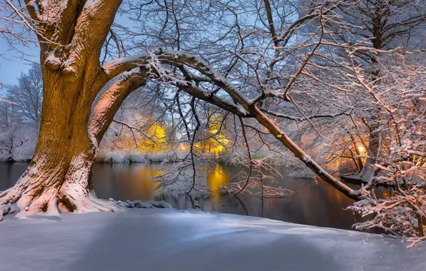 Picture winter, snow, landscape, nature, tree, lighting, twilight, pond