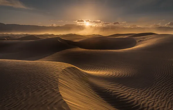 Sand, the sun, desert, dunes, Sands, relief