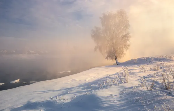 Winter, snow, landscape, nature, lake, tree, shore, birch