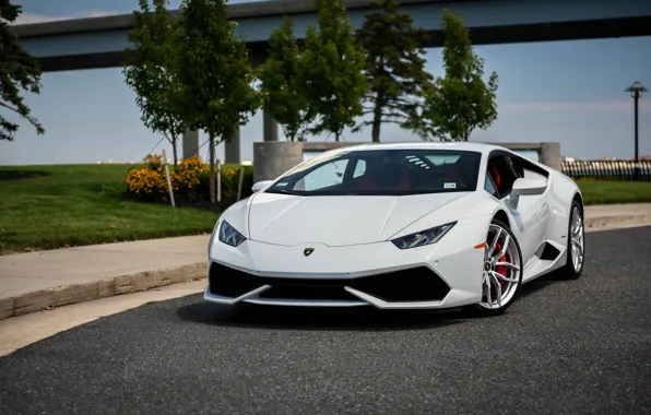 Picture Lamborghini, white, other, Huracan, LP610