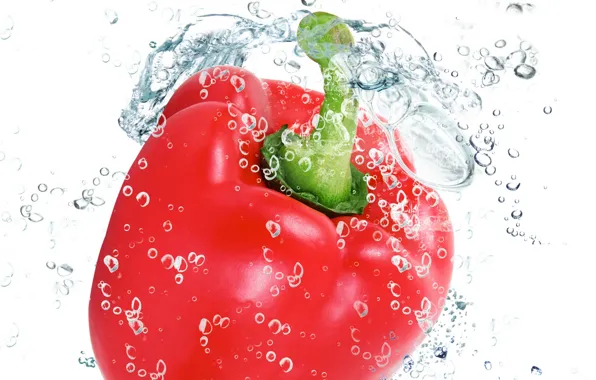 Picture water, drops, squirt, freshness, red, red, pepper, water