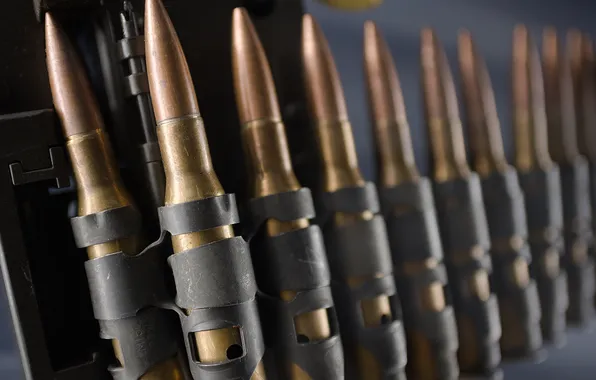 War, cartridges, madness