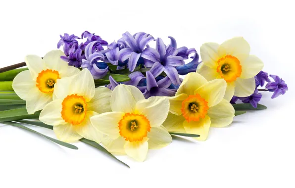 Flowers, bouquet, daffodils, hyacinths