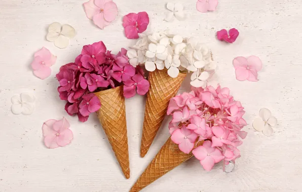 Picture flowers, beautiful, waffle cone