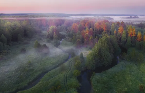 Autumn, landscape, nature, fog, morning, forest, river, Vladimir Ryabkov