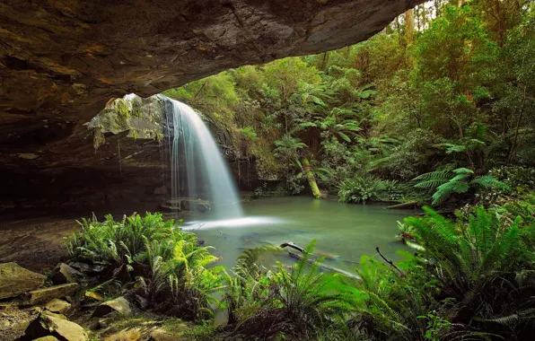 Rocks, thickets, waterfall, Australia, cave, fern, the grotto