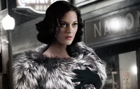 Picture Marion Cotillard, America's Most Wanted, Public Enemies