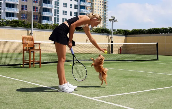 Girl, mesh, model, the ball, dog, chair, tennis player, racket