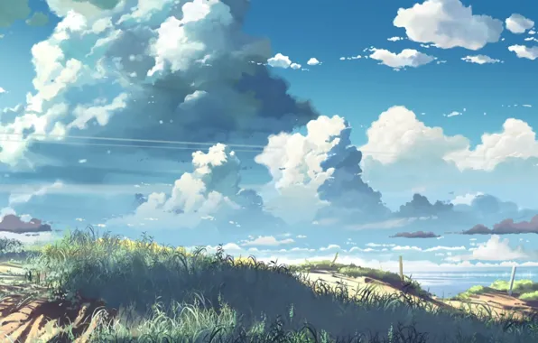 The sky, grass, Shore, thick clouds