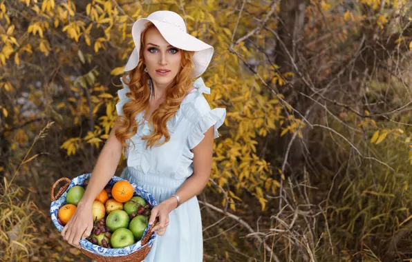 Picture look, girl, apples, hat, dress, harvest, basket, bokeh