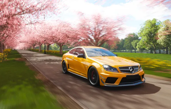 Picture Mercedes-Benz, Microsoft, game, AMG, Coupe, 2018, C63, Forza Horizon 4