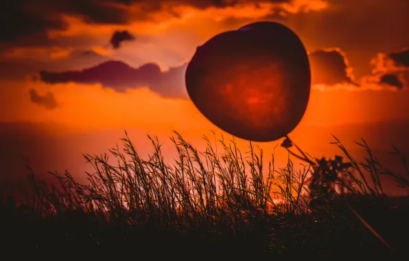 Picture grass, sunset, heart, ball, Heart balloon