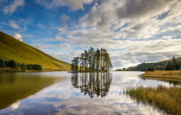 Trees, landscape, mountains, lake, island