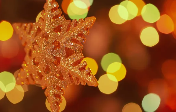 Picture macro, lights, holiday, star, new year, 1920x1200