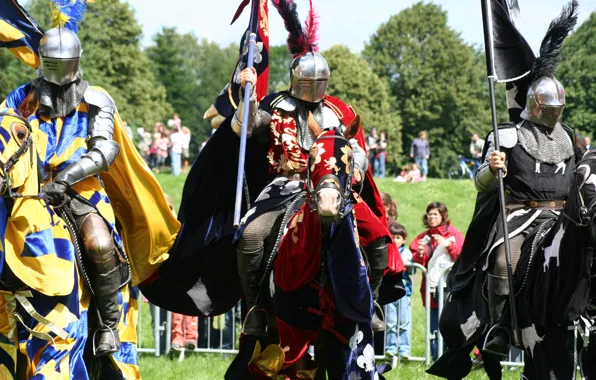 Picture armor, horse, knights, pennants, blankets, tabards, historical reconstruction