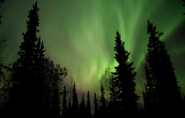 The sky, stars, night, Northern lights, Aurora Borealis