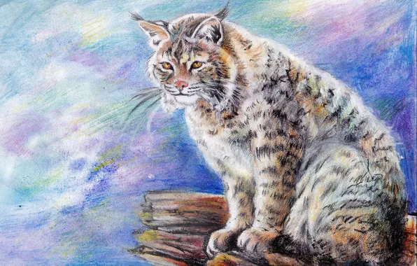 Picture cold, winter, look, face, animal, predator, painting, lynx