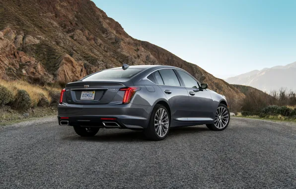 Grey, Cadillac, sedan, ass, four-door, 2020, CT5