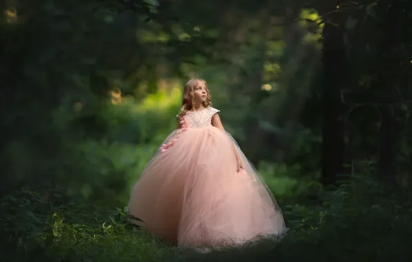 Picture forest, dress, girl, bokeh