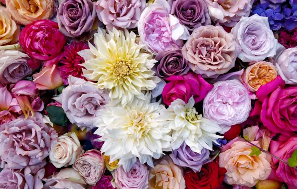 Picture colorful, flowers, bouquet, roses, composition, multicolored, Dahlia's, UHD wallpaper