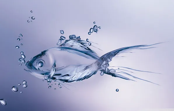 Drops, fish, type water