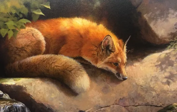 Leaves, nature, stream, stones, figure, moss, art, Fox