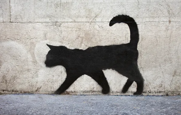 Picture surface, wall, graffiti, texture, black cat, graffiti, brick, black cat