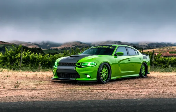 Dodge, Green, Charger 392