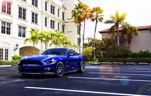 Picture Mustang, Ford, Muscle, Car, Blue, Front, Sun, Summer