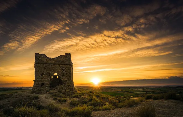 Field, sunset, nature, ruins