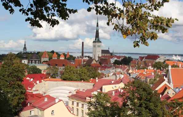 Picture roof, Estonia, Tallinn