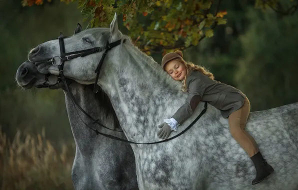Autumn, mood, horses, rider, horse, girl, rider