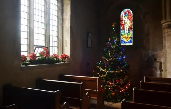 Holiday, temple, tree