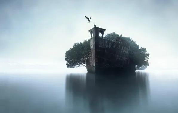 Picture art, ship, horizon, trees, bird