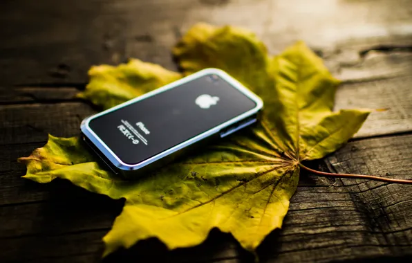 Leaves, Autumn, iphone4