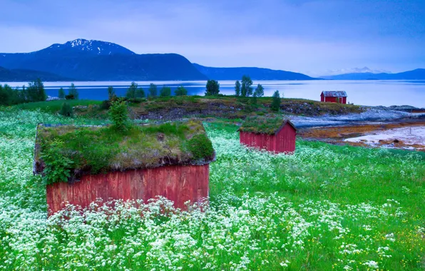 GRASS, MOUNTAINS, FIELD, HOUSE, GREENS, FLOWERS, DAL, LAKE