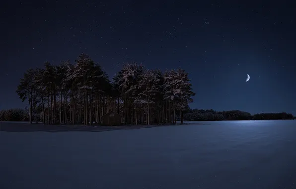 Winter, field, forest, the sky, stars, snow, trees, landscape