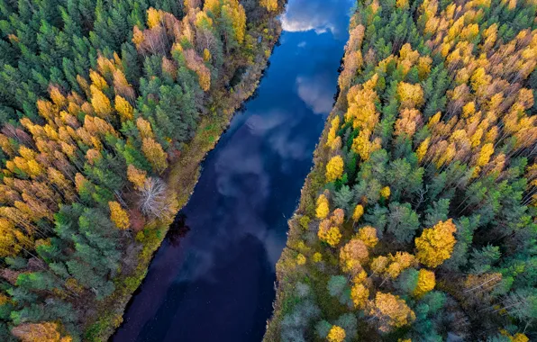Autumn, forest, clouds, trees, reflection, river, blue, ate