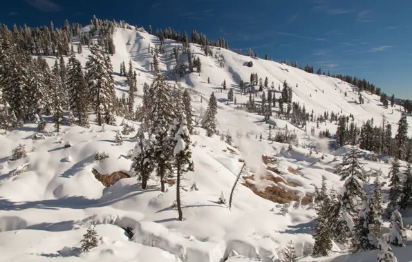 Picture winter, the sky, the sun, snow, trees, mountain, slope, CA