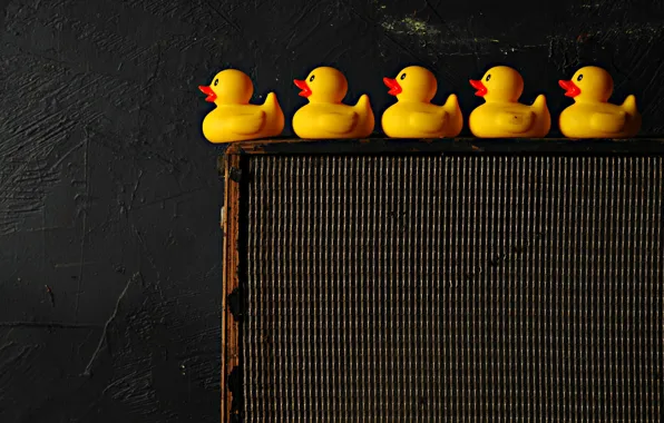 Picture background, toys, duck